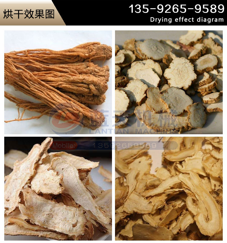 當歸烘干機烘干效果