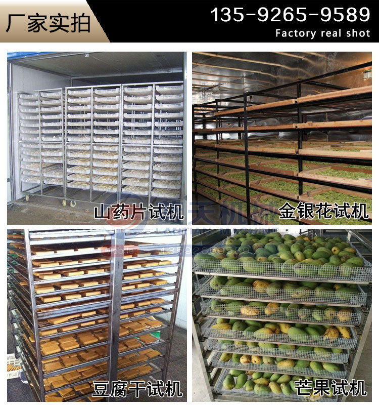 當歸烘干機試機